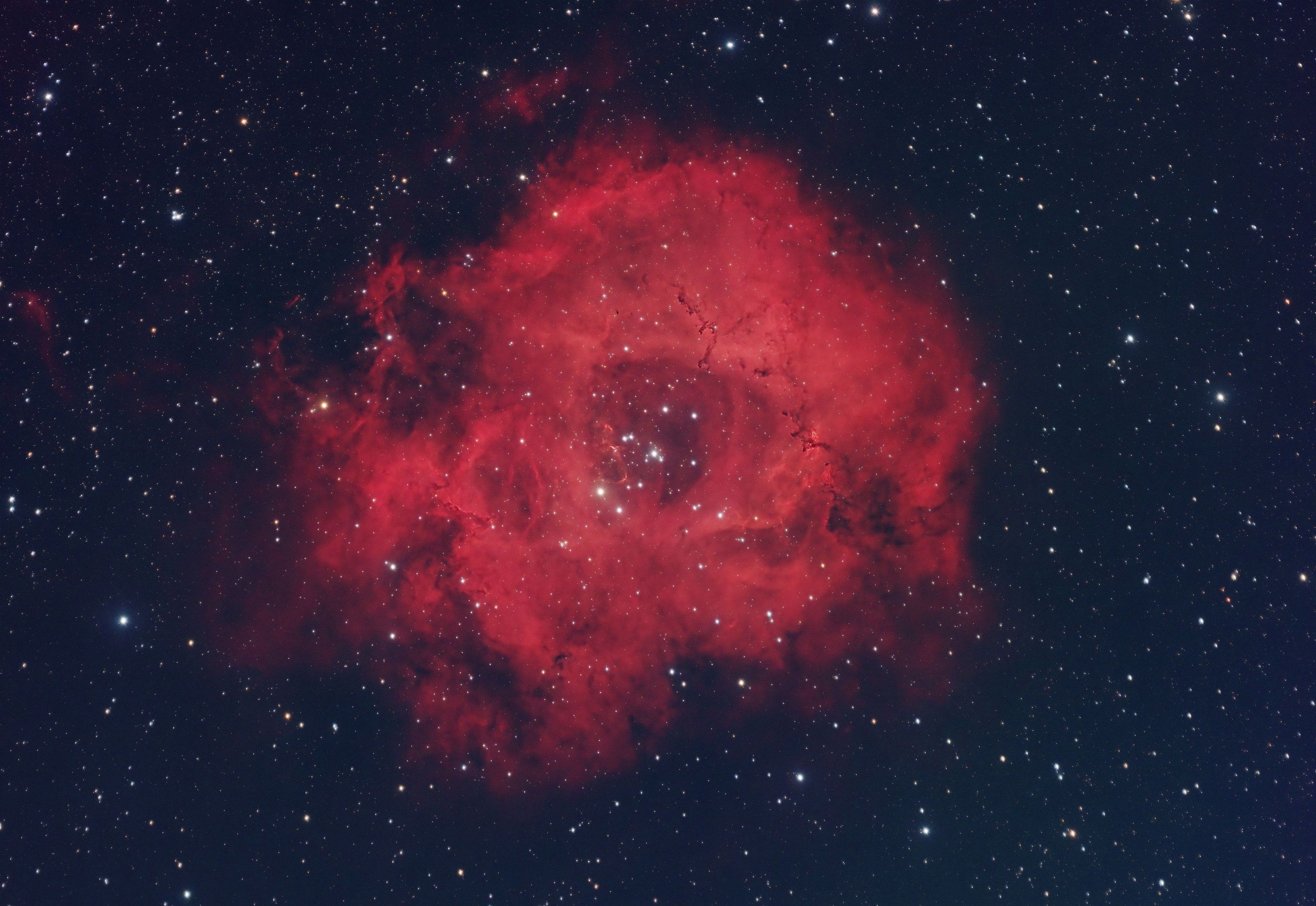 Caldwell 49 — Rosette Nebula
